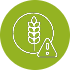 Gluten Concerns icon
